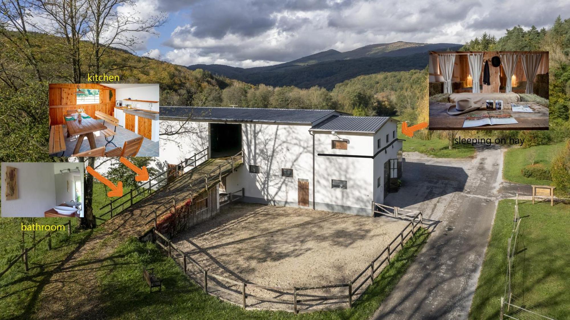 Villa Farm Volk à Suhorje Extérieur photo