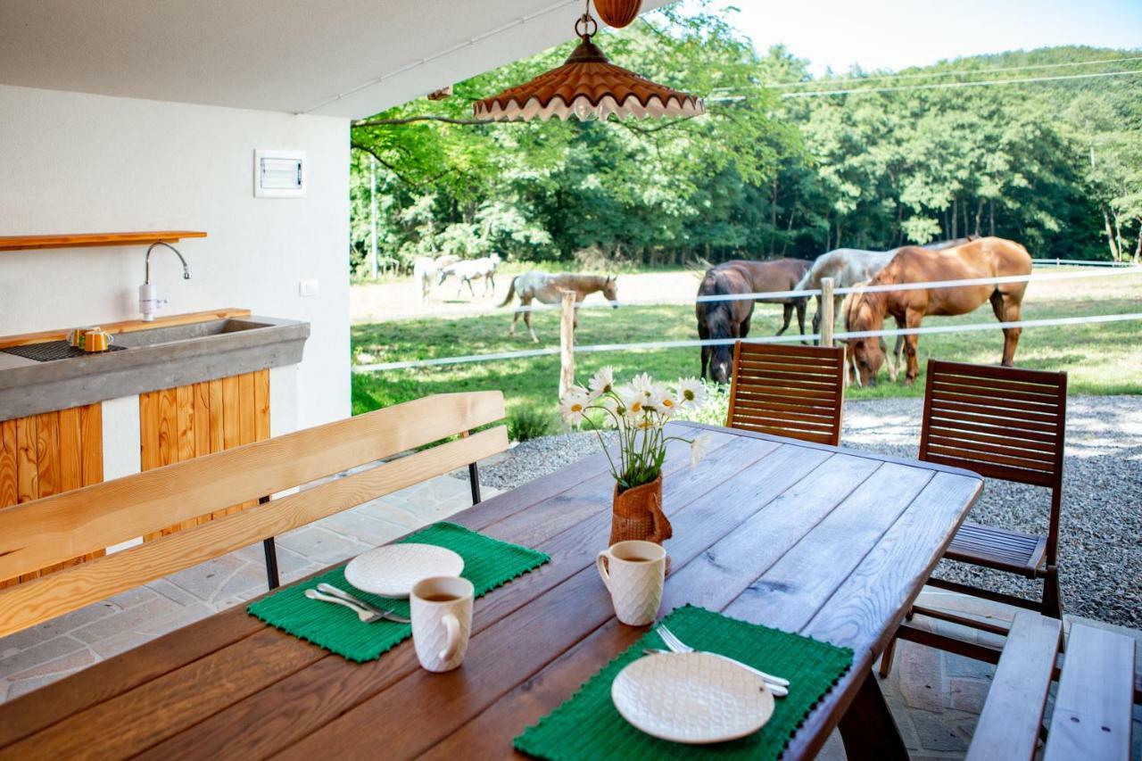 Villa Farm Volk à Suhorje Extérieur photo